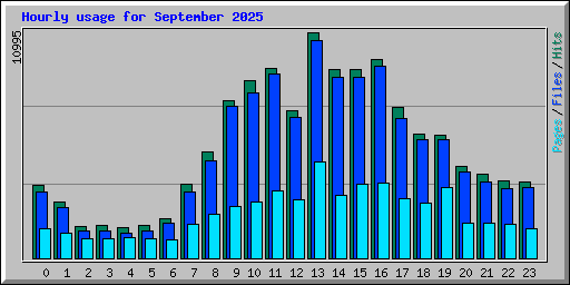 Hourly usage for September 2025