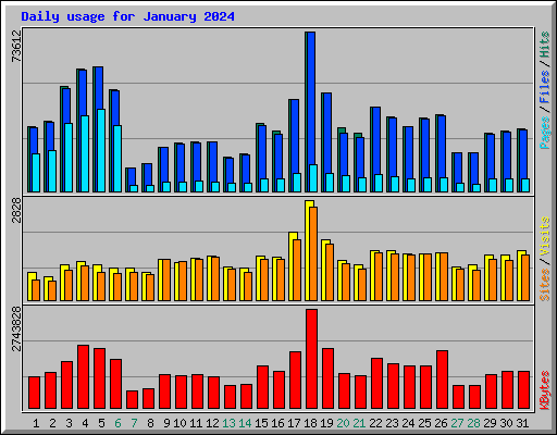 Daily usage for January 2024