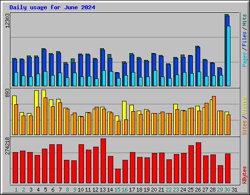 Daily usage for June 2024