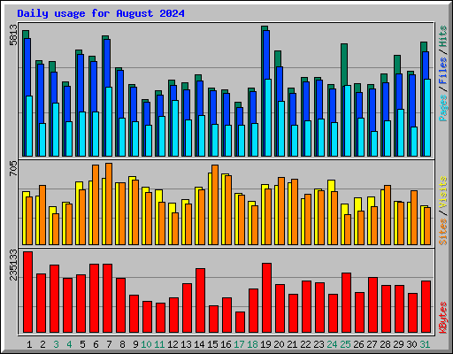 Daily usage for August 2024