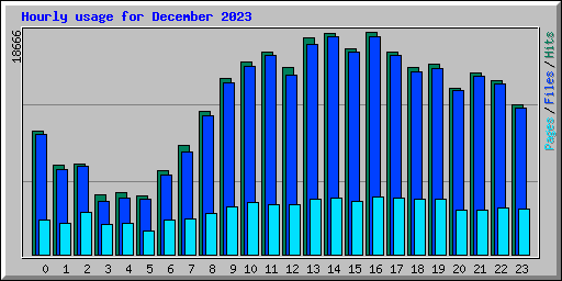 Hourly usage for December 2023