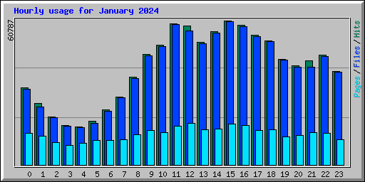 Hourly usage for January 2024