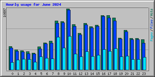 Hourly usage for June 2024