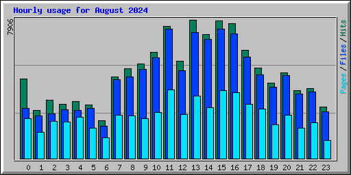 Hourly usage for August 2024