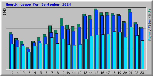 Hourly usage for September 2024