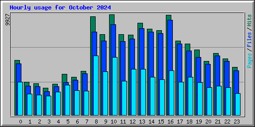 Hourly usage for October 2024