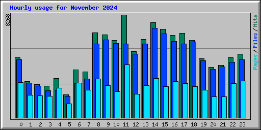 Hourly usage for November 2024