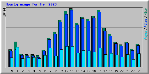 Hourly usage for May 2025