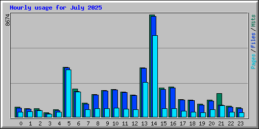 Hourly usage for July 2025