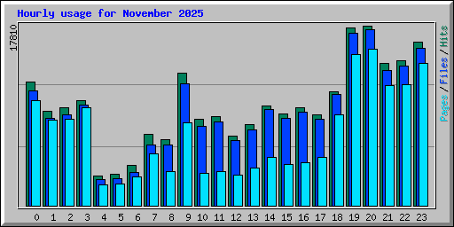 Hourly usage for November 2025